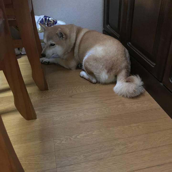 D63459af ff8c 4a5e 9af1 e15900df5563