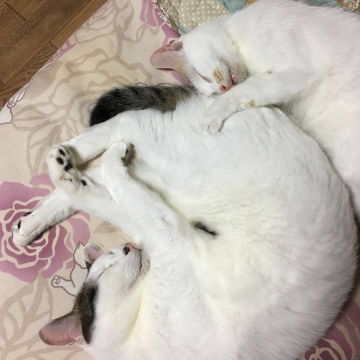 D635a1e0 b1d9 4796 bb22 debe1af704d4