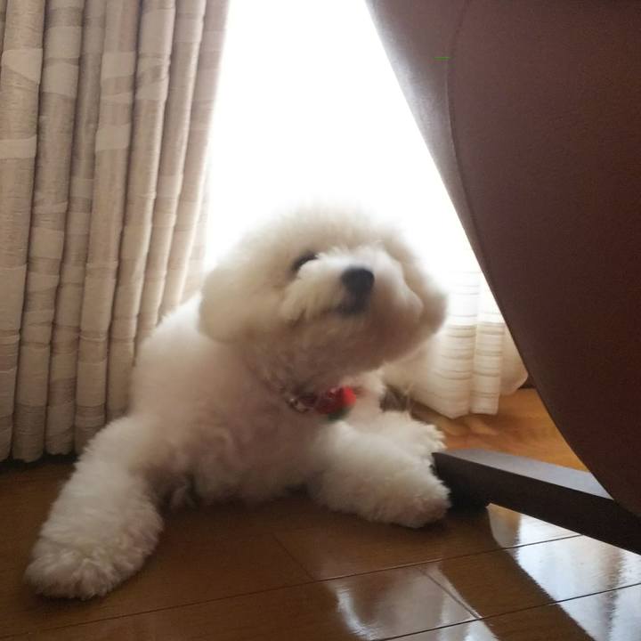 D6368809 a2b8 4dfd 83c1 43b3ef9447c2