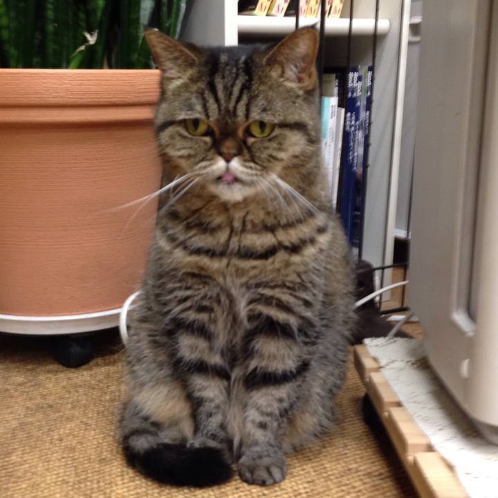 D636bb11 6200 4f29 a8e5 22e66a5cd7af