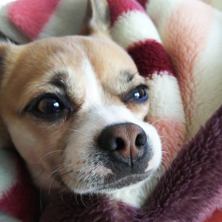 D6379813 cbd8 4e3a 93a7 90834d976007