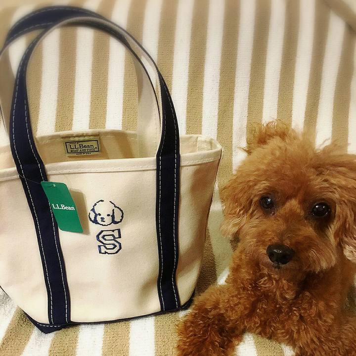 D63803b4 bd59 45a1 9d09 a81f8d6a1368