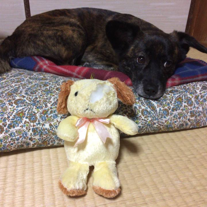 D6381030 e221 4794 8ebc d9d143b71209