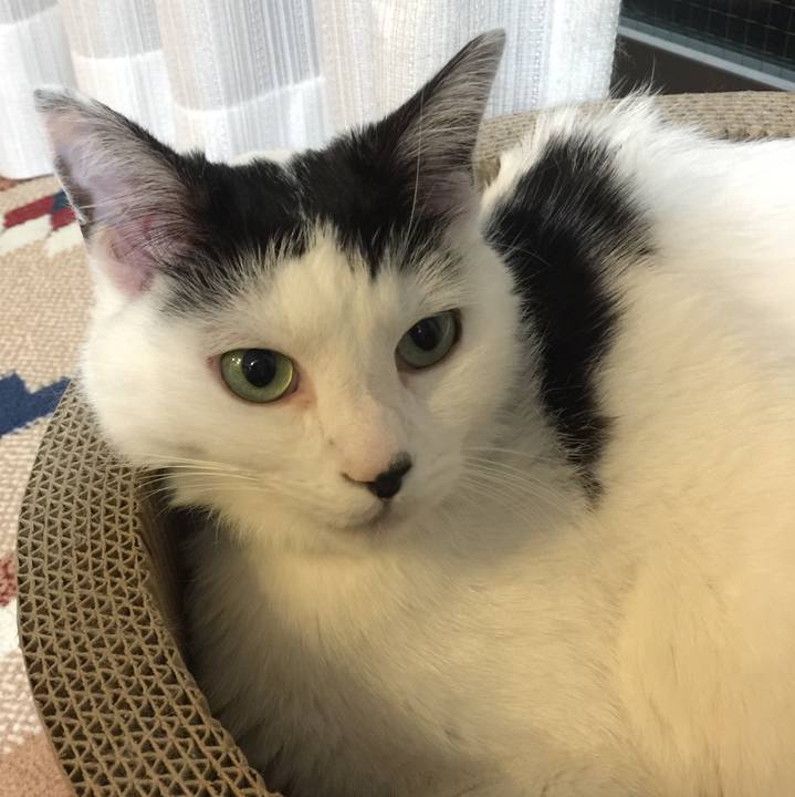 D638a961 db92 46ba 9806 8091f3786739