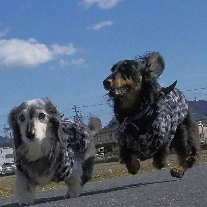 D63946c3 5a10 4a73 99ea 22dfdd473df0