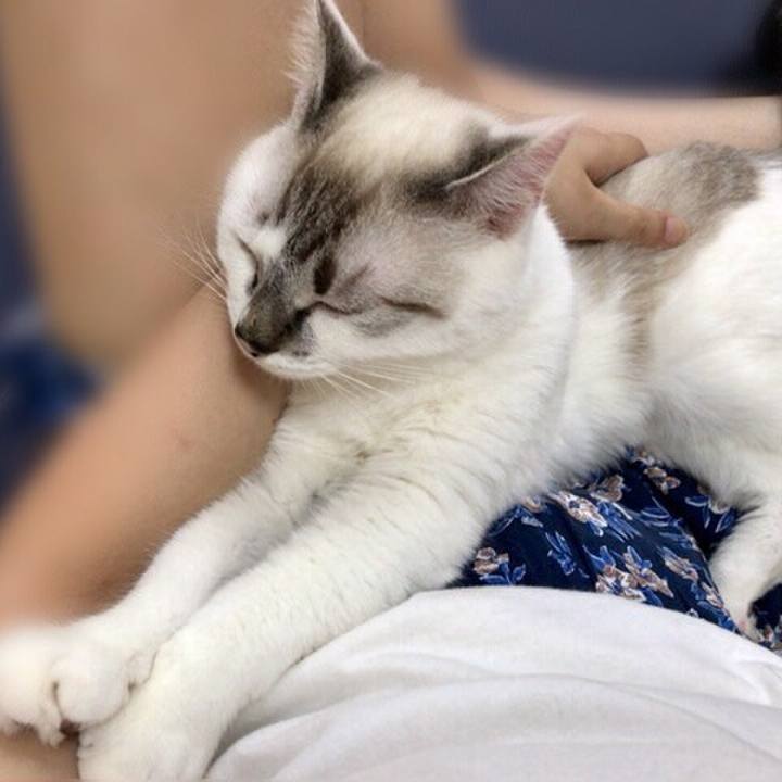 D63990bb d341 400b 803d 982b9ca03508