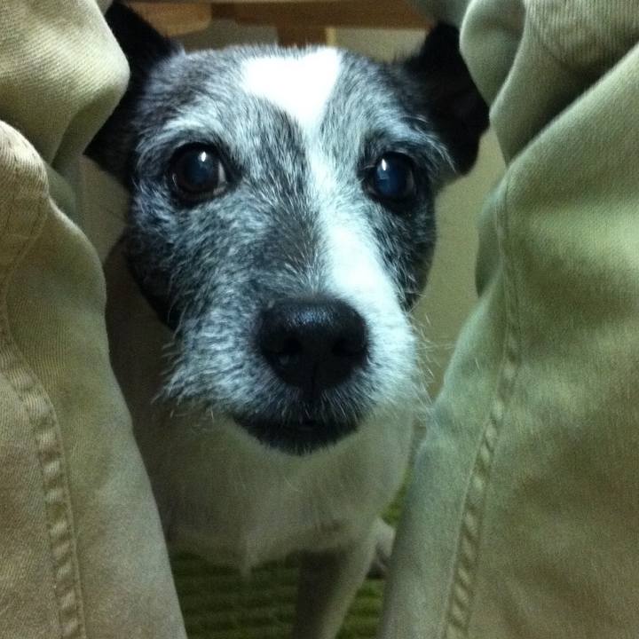 D63a39e5 2690 4108 bece 9d6b7d8ecf2f