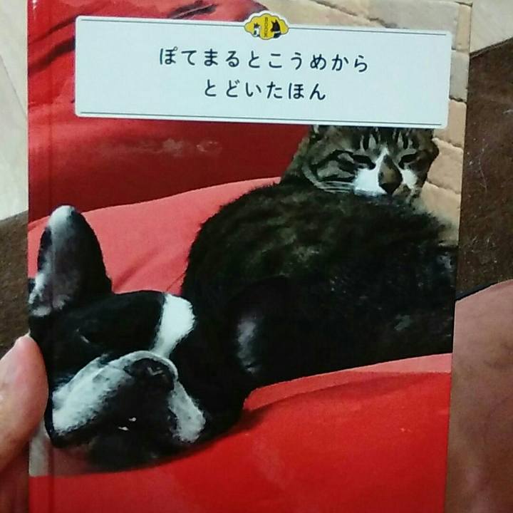 D63ba64d 0812 4165 9b3e 72eba8ad157e