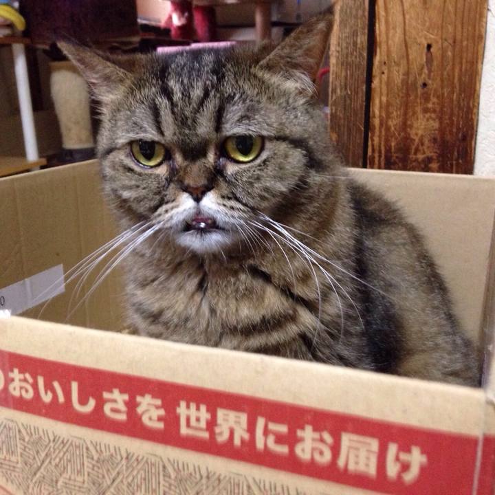 D63bbd13 4476 486b 99af 3d06c333553b