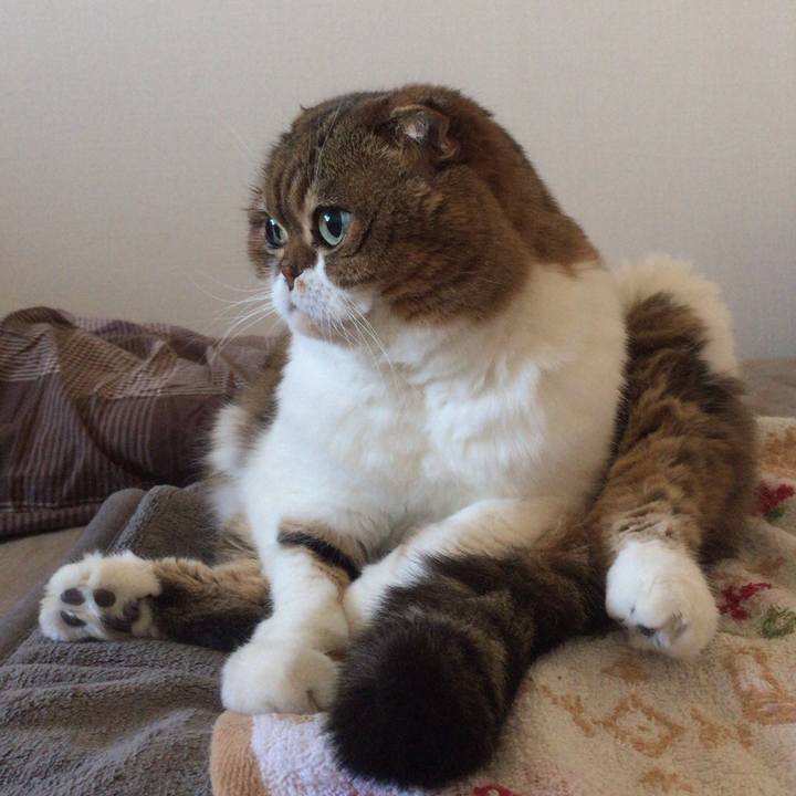 D63ceee0 d671 441f 85ab 68c4e05fcd4b