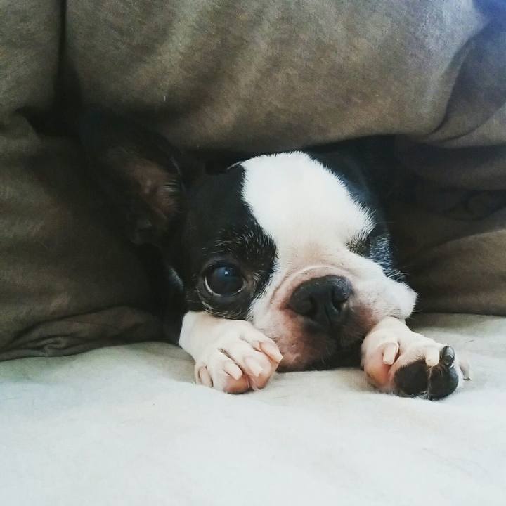 D63d0b52 d5cd 4e77 aff0 38fa9f80e1aa