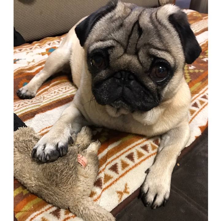 D63d185a 6edb 49e3 aad7 0fb5c35b78ec