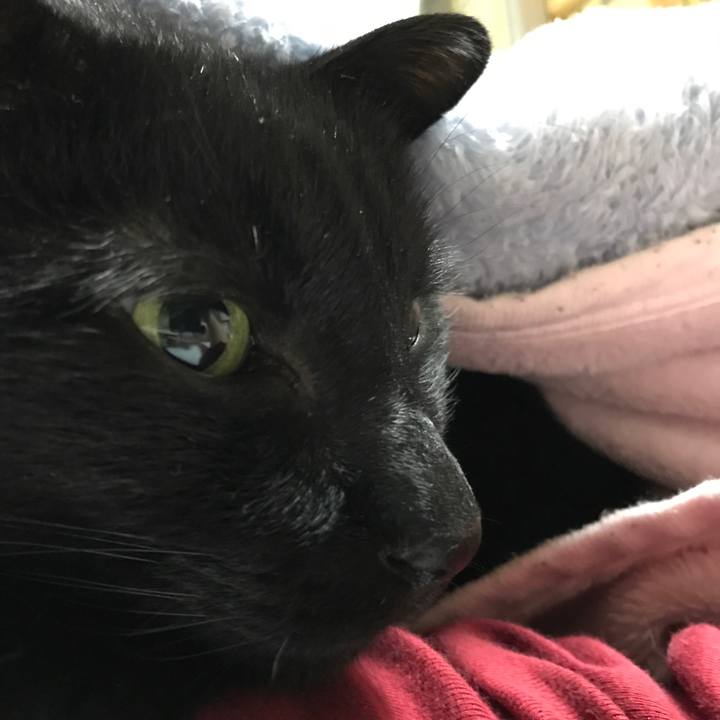 D63d8d03 c3bc 4829 8c45 68933ef05524