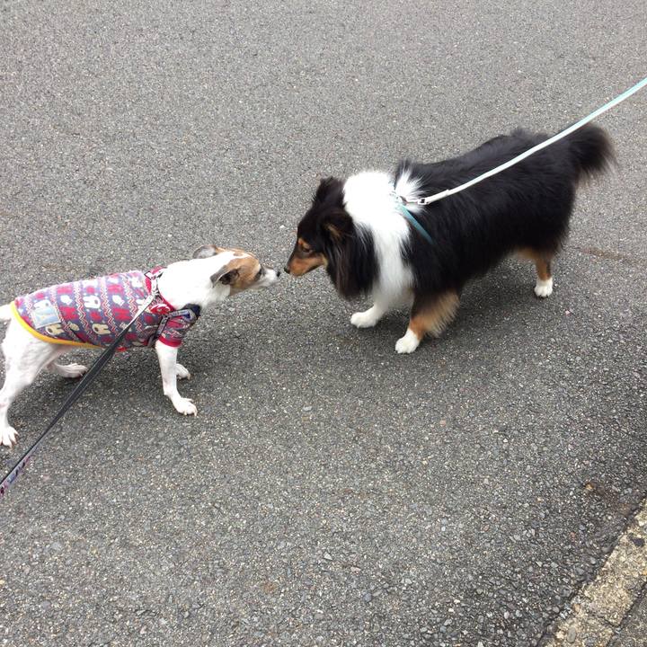 D63d8f34 aedc 4691 a1d9 652eb473165f