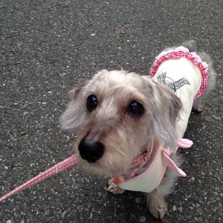 D63dca03 34e2 4779 a1e5 a4ee845e714f