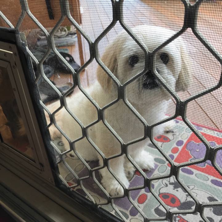 D63dcb4f 9f4e 4525 bed5 e400f6e22208