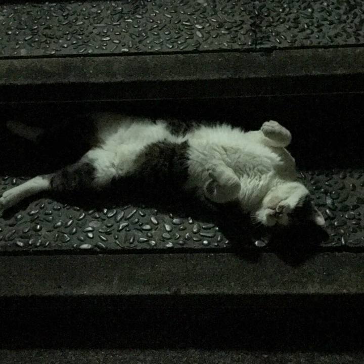 D63dec70 bd4f 4ddb 8d36 4cf03b7f642a