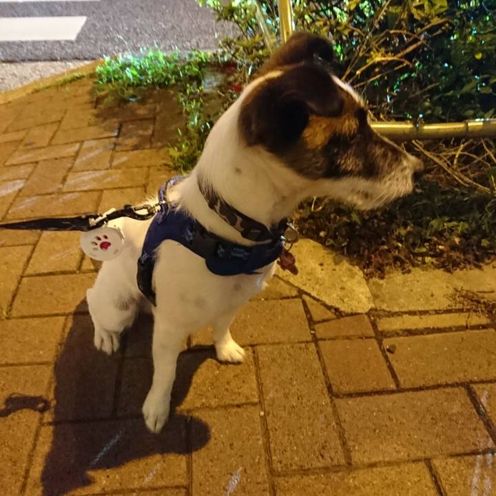 D63e586f 2440 4f5f 9343 ecceb0881f79