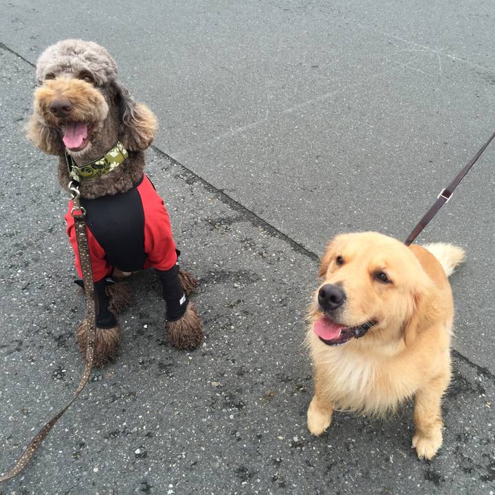 D63e87df 1423 4500 9f0e 81616e91a3fe