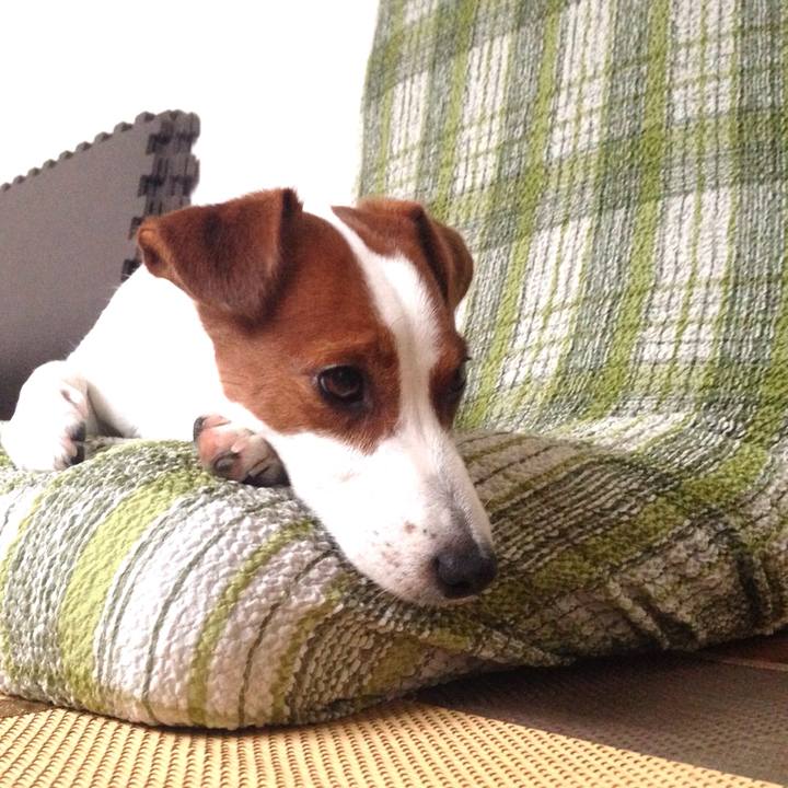 D63ecb1a 4633 4722 8cc3 f4938ca79f73