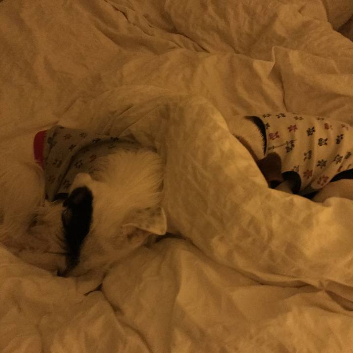 D63ed4bd 40bc 4f7c acb5 47a7ecc8a299