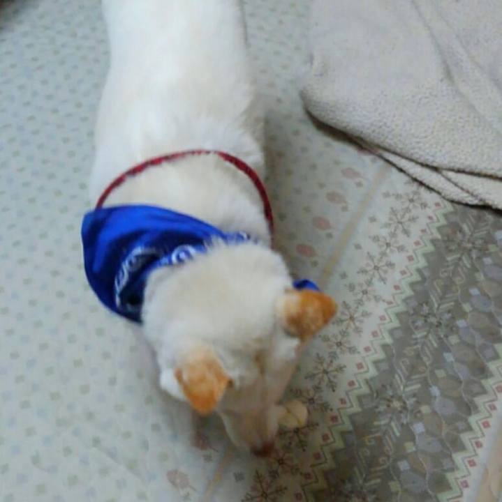 D63ed54c d725 41cb a160 7894a7a93dc6