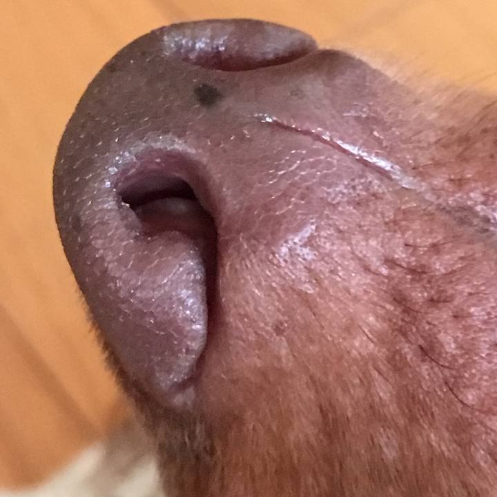 D63edd2a 1d5a 4df8 a812 b8fb01f36461