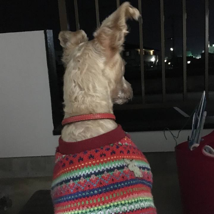 D63f0794 f5fc 4a59 8281 4e58ca7e184b