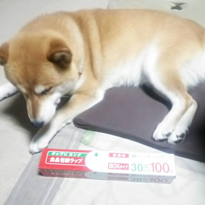 D63f9913 6d8f 4582 b991 5dae5e39d8d6