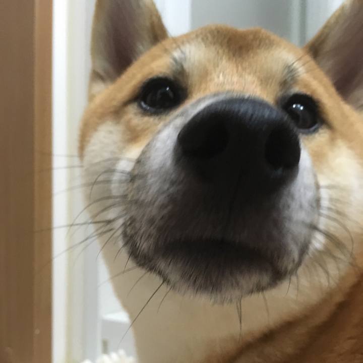 D63fcded 4719 45dd b456 1d21ed40675c