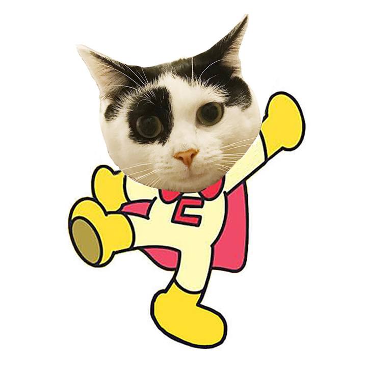 D6402b66 5dca 4af7 97b6 fe92a1c6358d