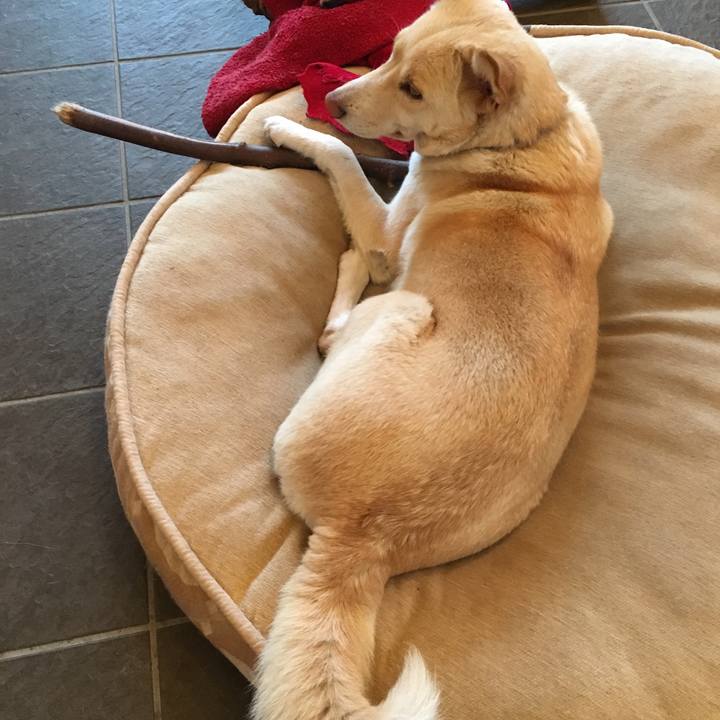 D6403b1a 818c 4087 ab4b b46c39b400f3