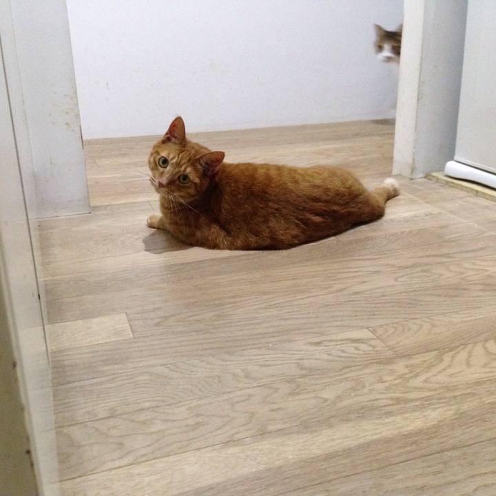 D6405f8f 02d4 4384 938a 7f9492f5a4f9