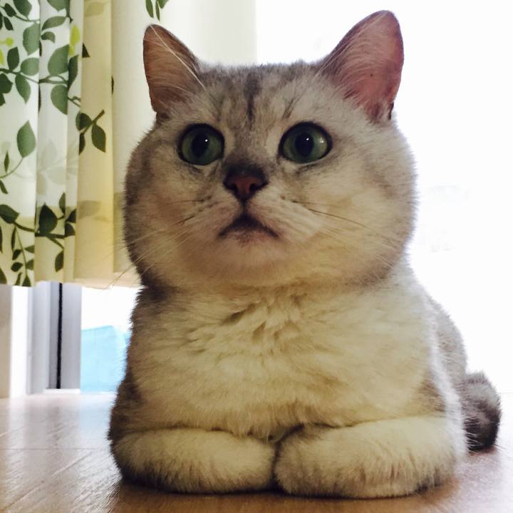 D6406dfe 8f2c 4137 9dca 9013fe6ece72