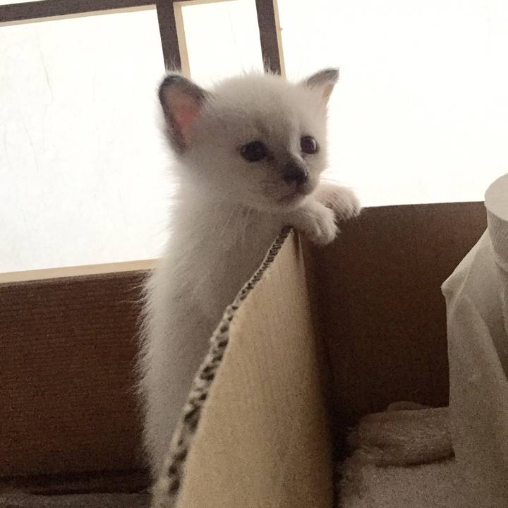 D640c667 9a8b 44e7 b0a0 2a249d552a1b