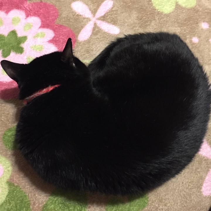 D640e031 4044 4f5e 8d38 4d9e6481f497