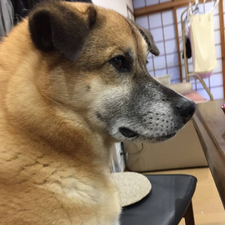 D641066c 6ad9 4939 bd58 640c5413dc86