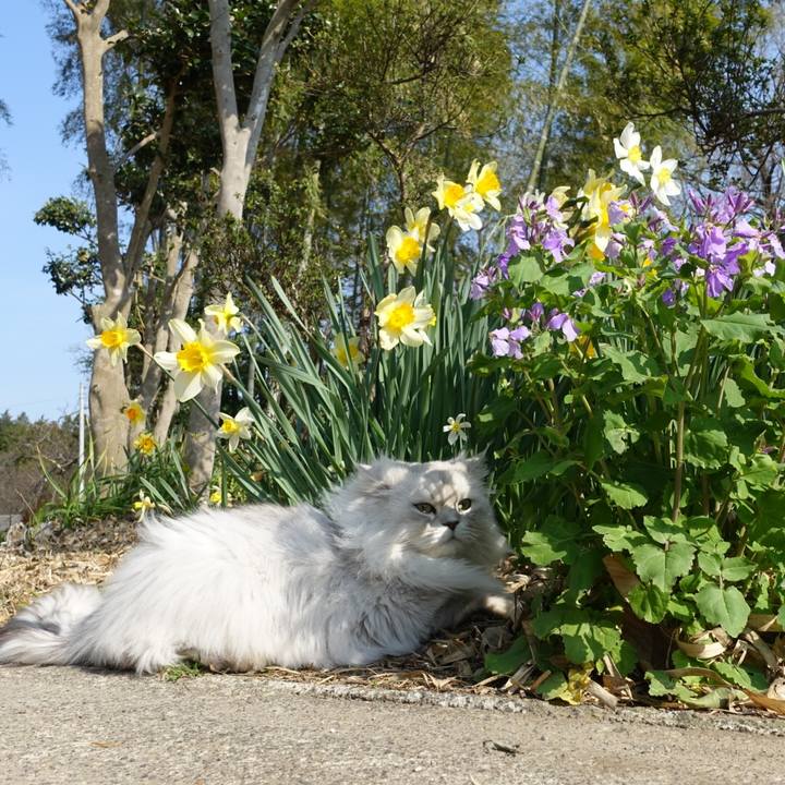 D6412d0e 91b7 4c4c 9dae f9d9327b9ea7