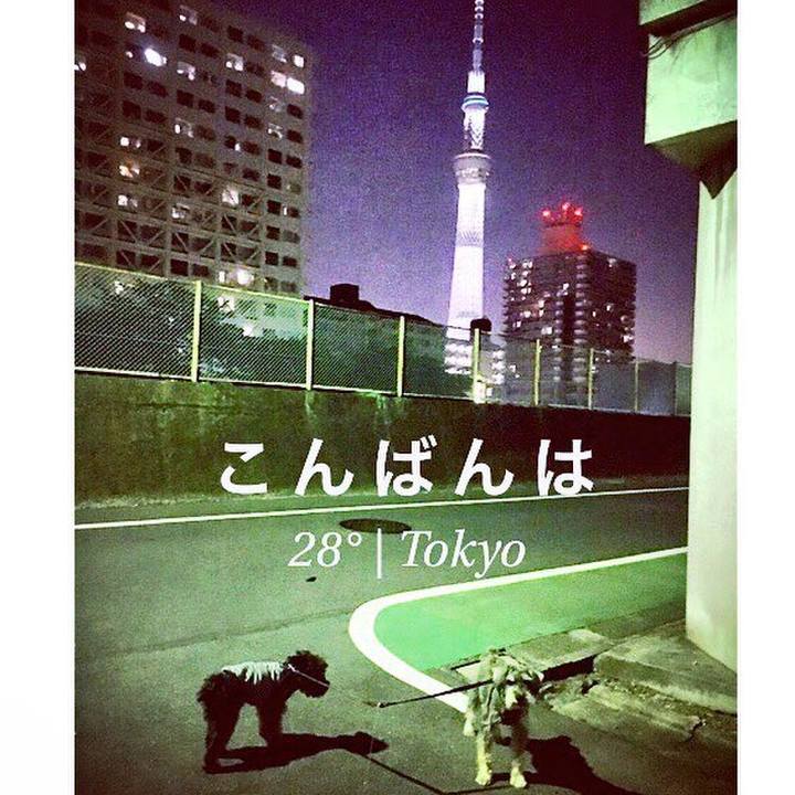 D641a993 1c87 41ea b6f9 f54b82b3f50c