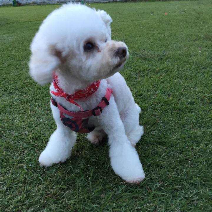 D641f4bc 051d 4d6a b631 7be2a272823b