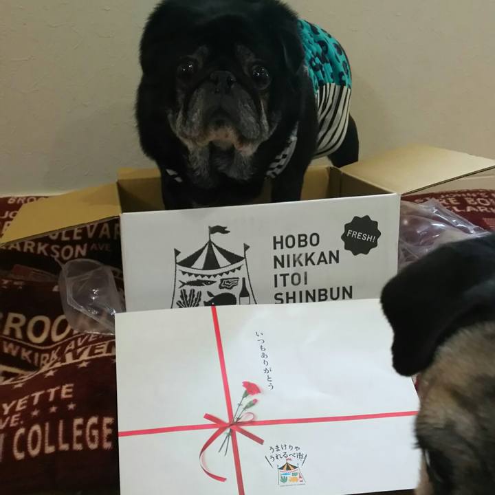 D64264b1 5380 42f2 b1c1 8b13adac6fc4