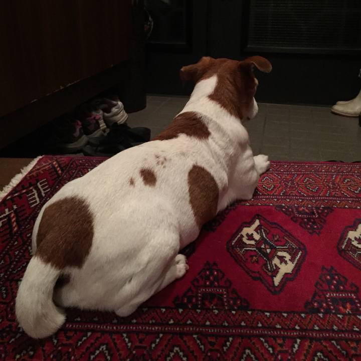 D642af94 e64c 4f46 a5b1 709cfbbfaba5