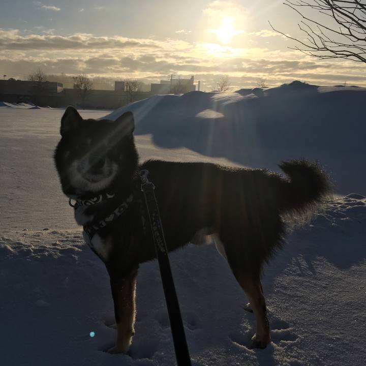 D6436749 d7c6 443c a248 1d1be8e079bb