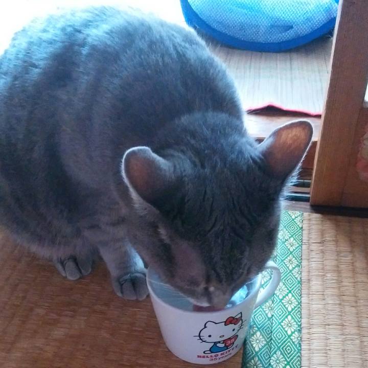 D643981d e54d 4912 b2e6 ce28170868c5