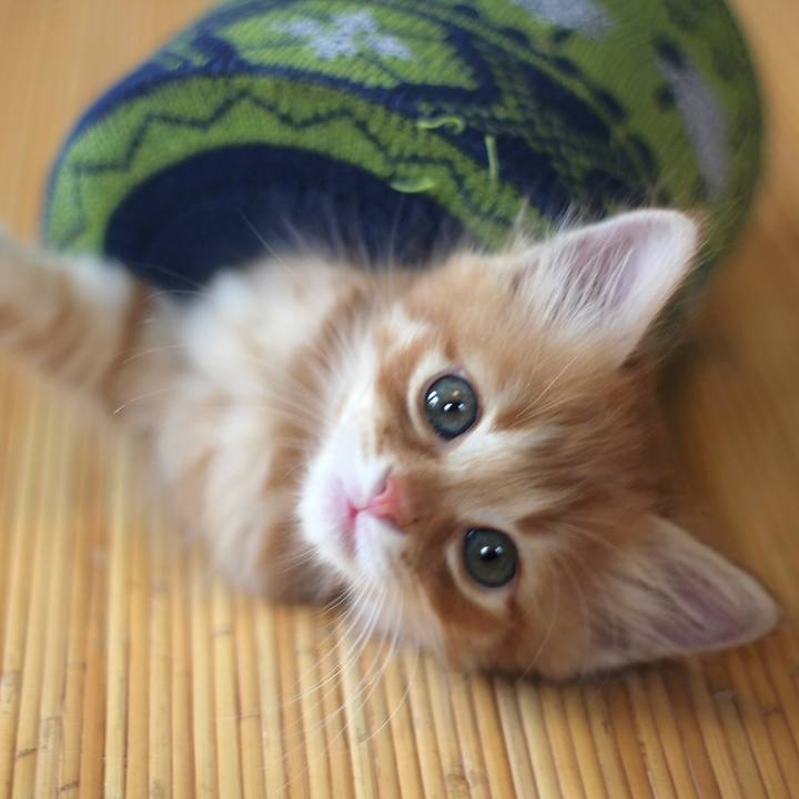 D643985c 33a3 4a9d ae55 95eeed1edbc7