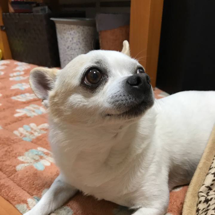 D643a22d 4980 48ea 8b4f 02405f2329bc