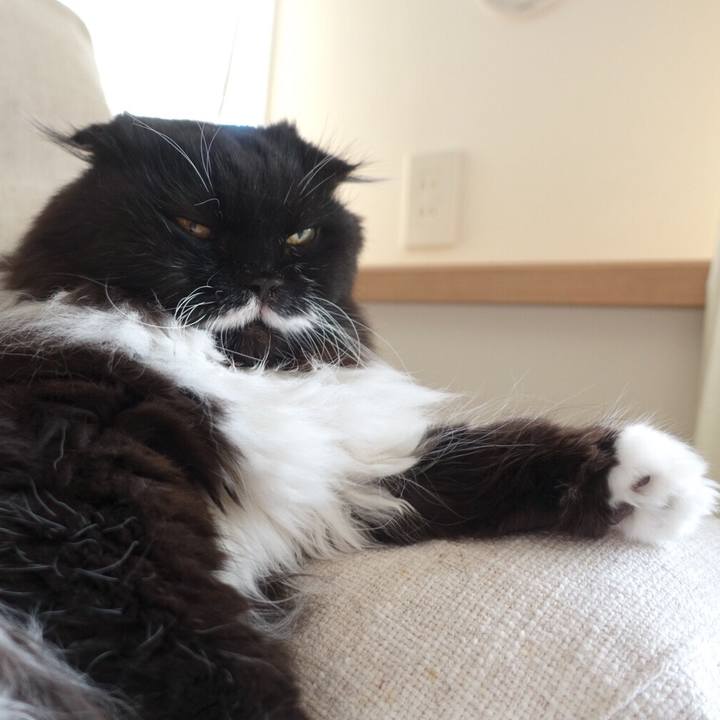 D643b347 8d35 4d19 ac2f bcf196e32439