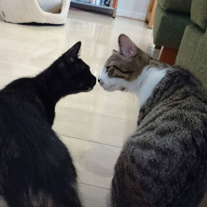 D6446d8b d6cc 42d1 a89a a97b614c6ace