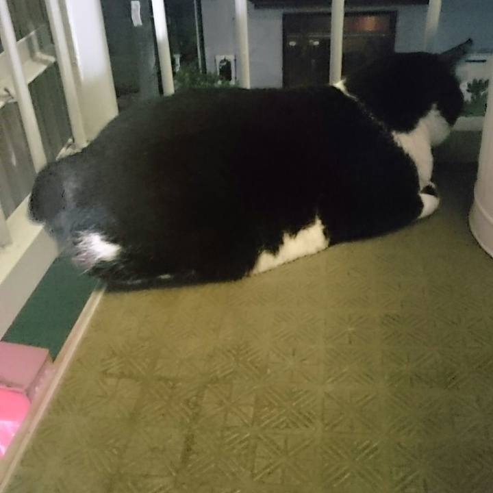 D6452030 fe23 4a4f a73e 6a40ca8dcad2