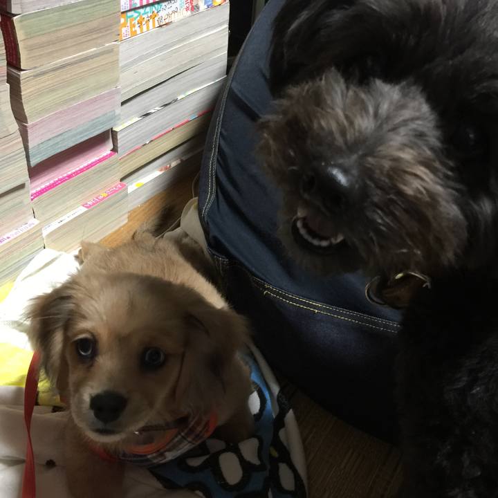 D645a53c c4ed 40e8 b24e 5b3cca66b9ca